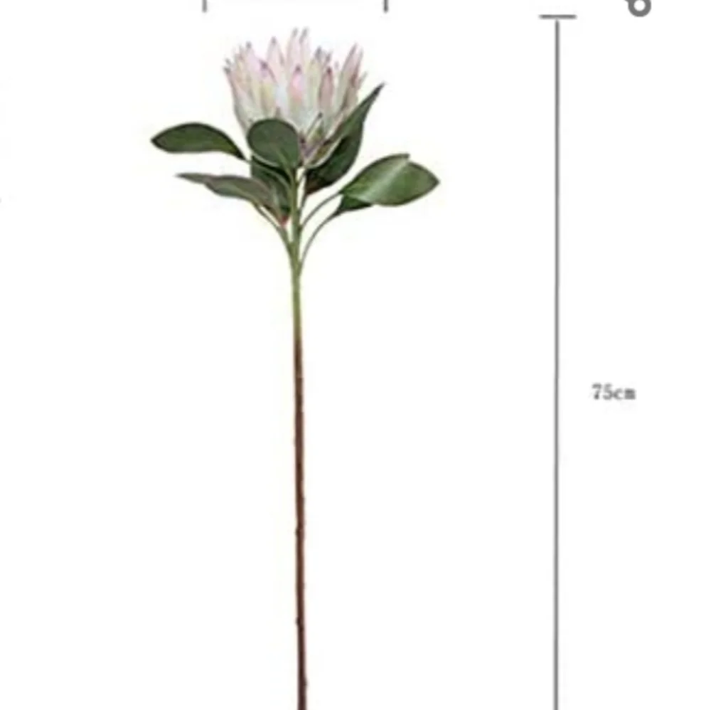 Calcifer The King Protea Cynaroides Artificial Flower Plant Garden Party Wedding